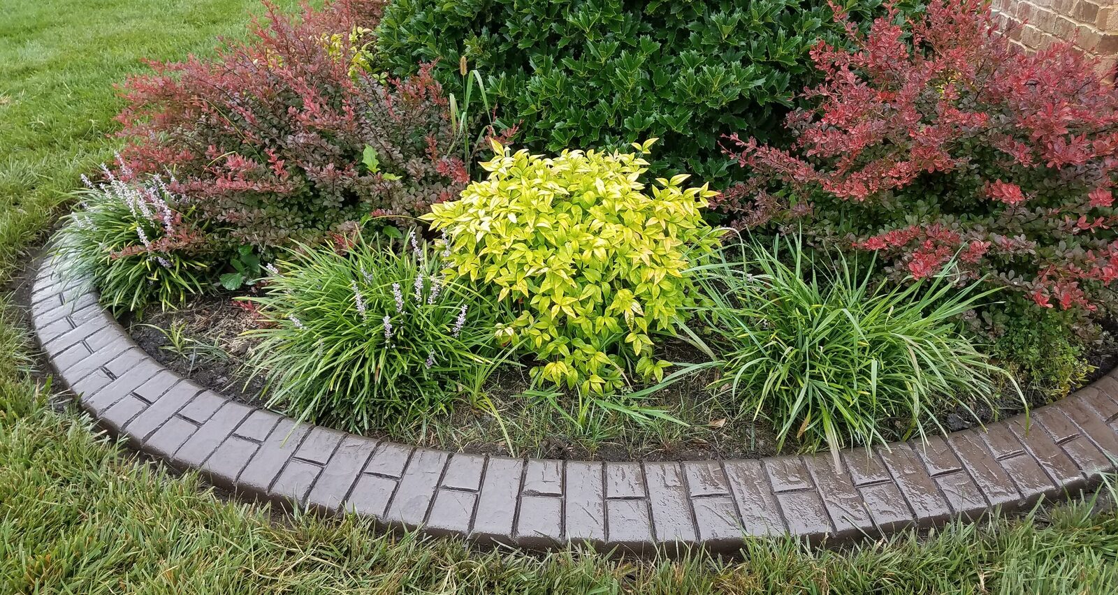 Barberry and spirea bed, Brick Half Brick pattern