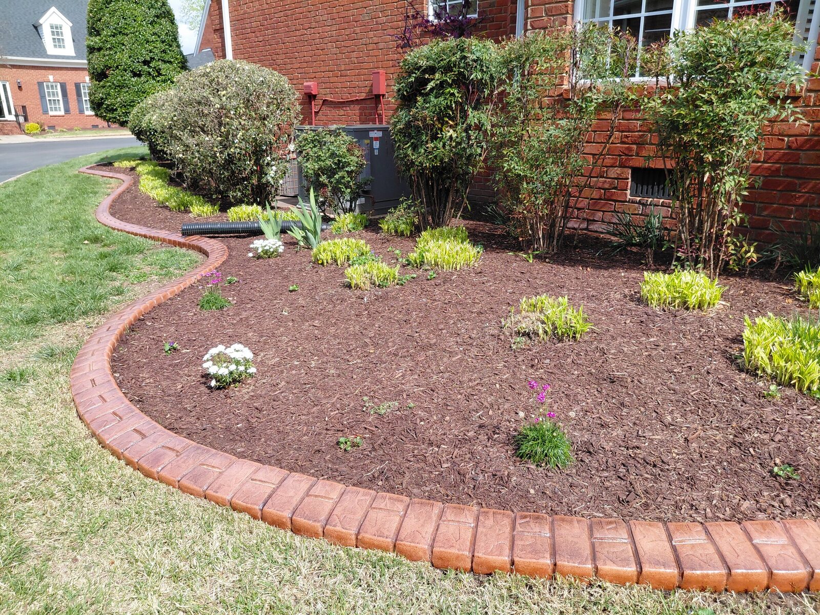 Terracotta border at the foundation, Brick Half Brick pattern