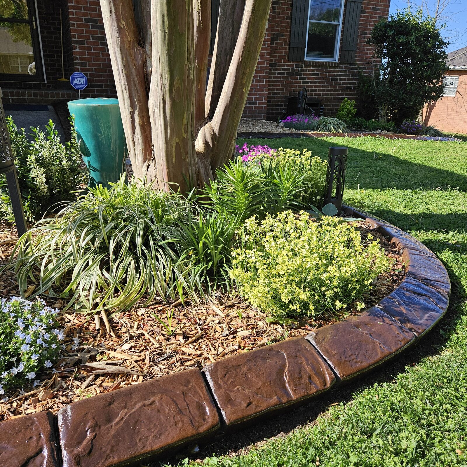 Planted tree ring, Cobblestone pattern