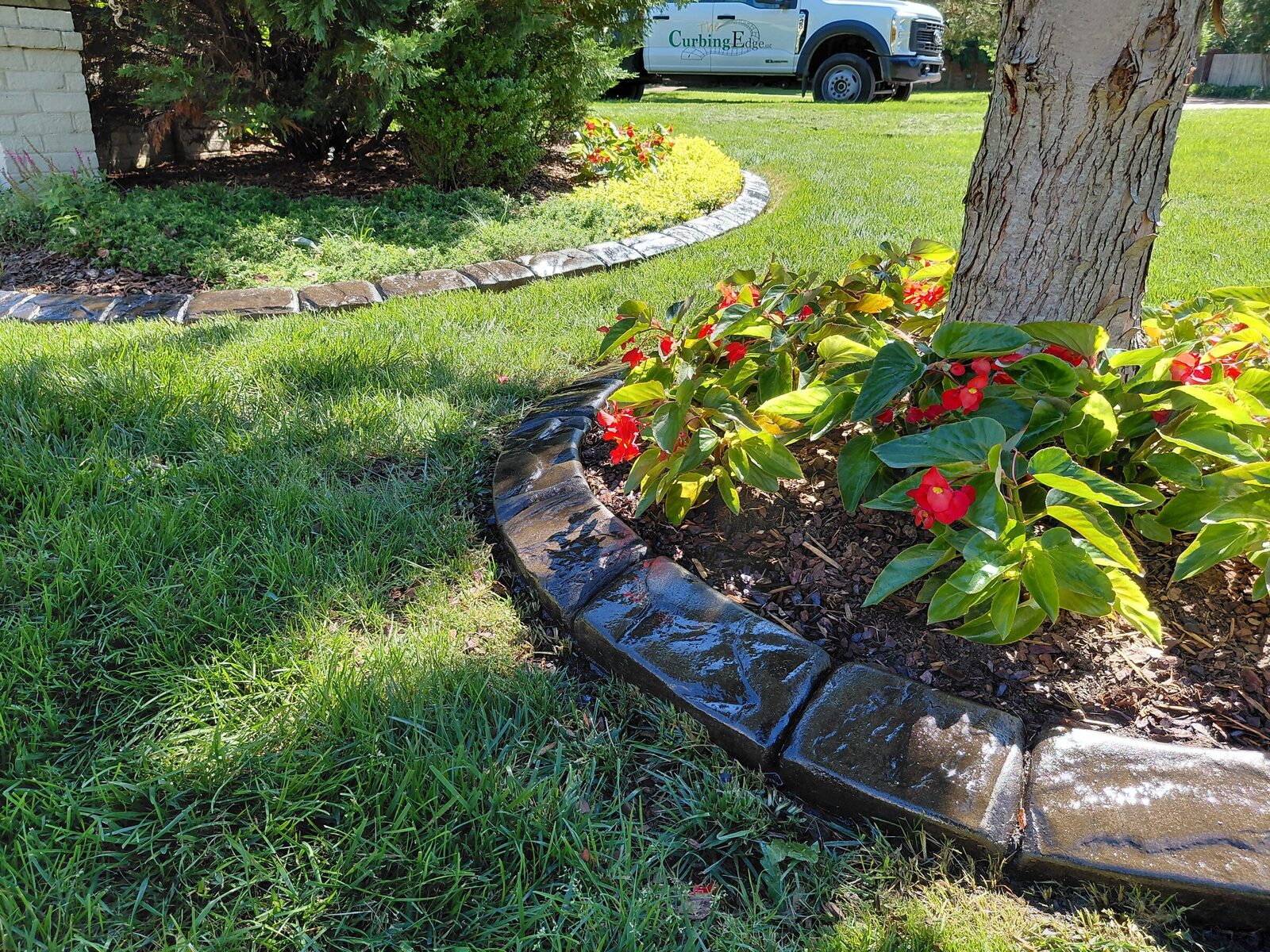Begonias under a tree, Riverstone pattern