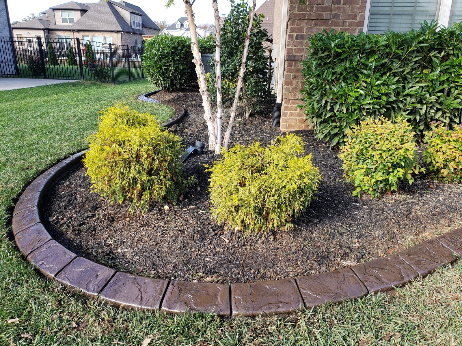 Foundation bed with golden shrubs, Cobblestone pattern