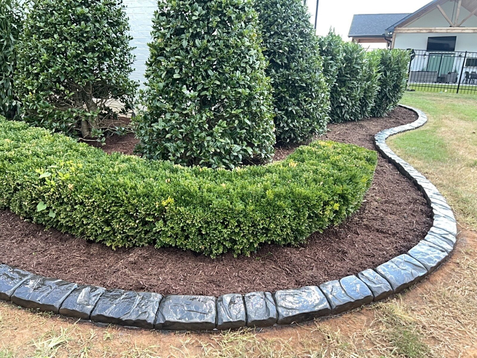 Boxwood hedge in dark mulch, Chattanooga Rock pattern