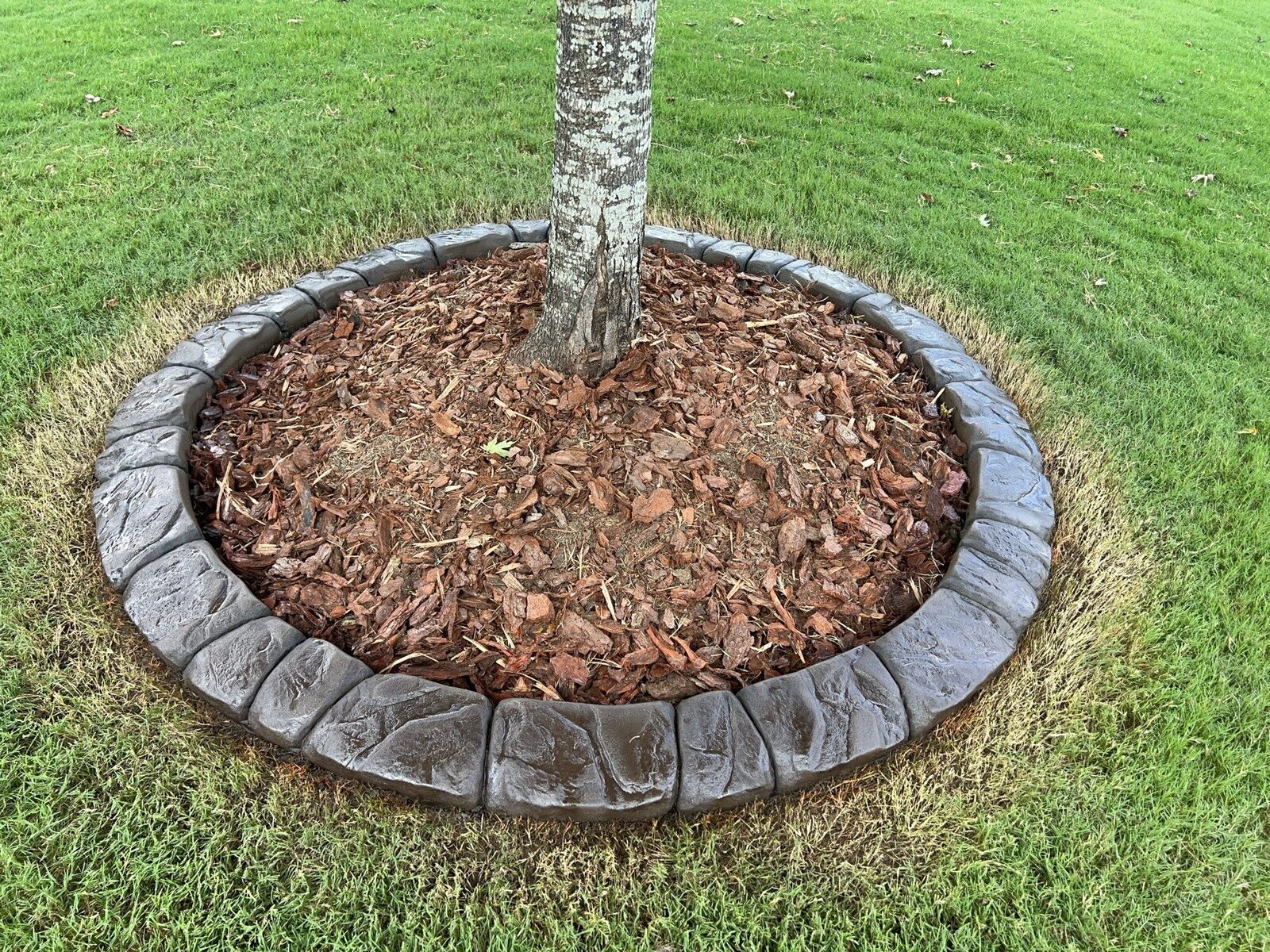 Grey tree ring in the lawn, Chattanooga Rock pattern