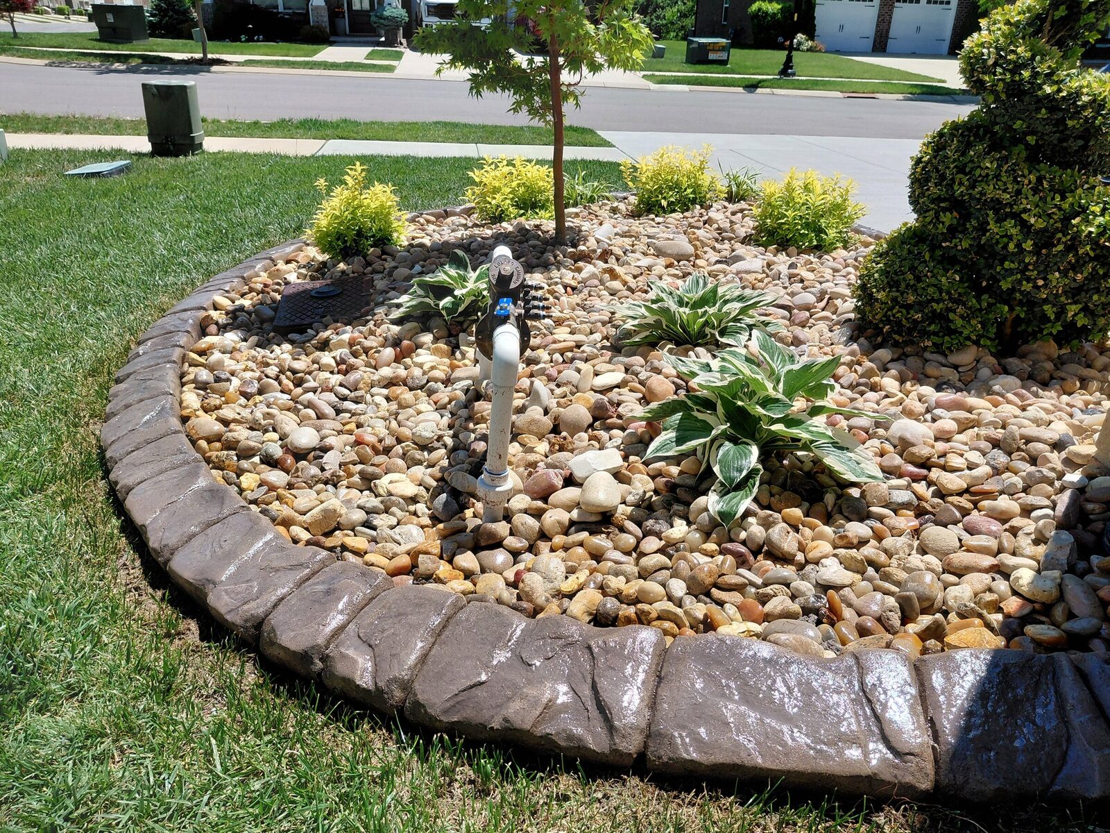 River-rock island with hostas, Chattanooga Rock pattern