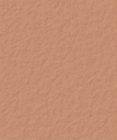Baja Red Davis color swatch