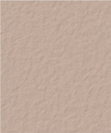 Bayou Davis color swatch