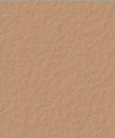 Flagstone Brown Davis color swatch