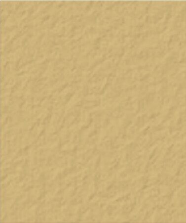 Mesa Buff Davis color swatch