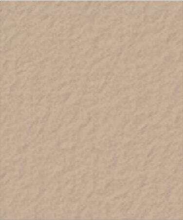 Omaha Tan Davis color swatch