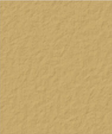 Palomino Davis color swatch