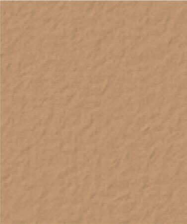 Salmon Davis color swatch
