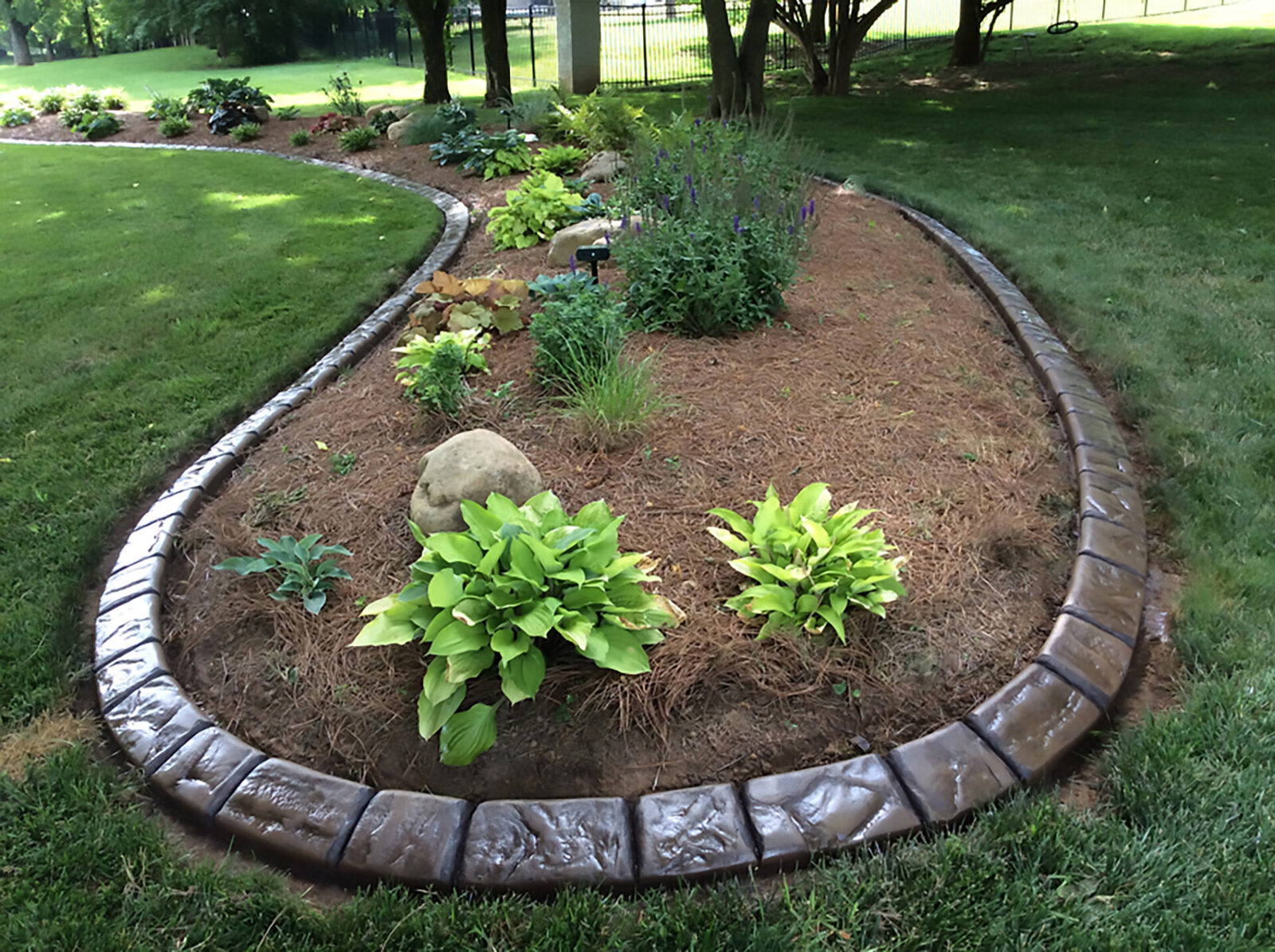 Hosta garden island