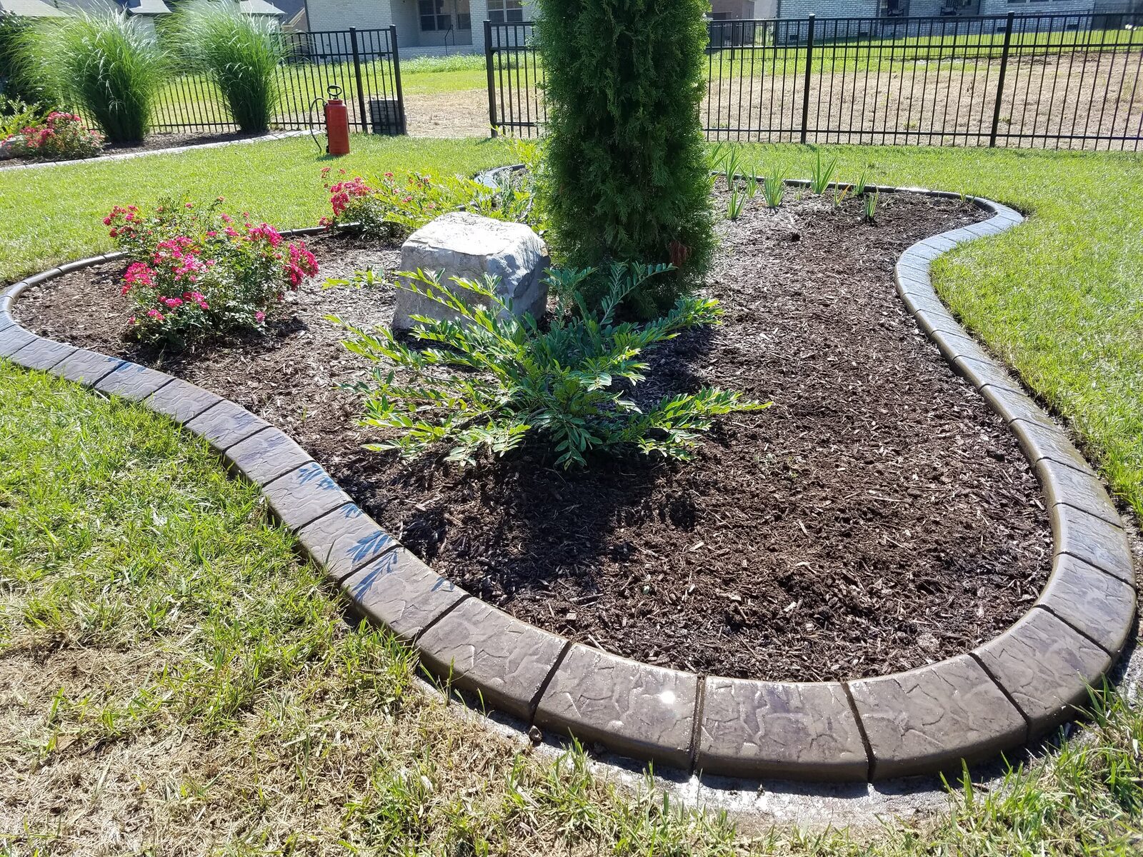 Curved evergreen bed, Cobblestone pattern