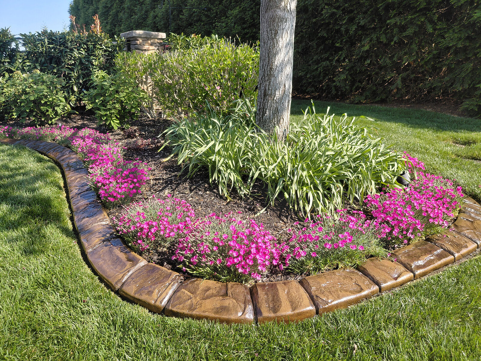 Pink groundcover ring, Riverstone pattern