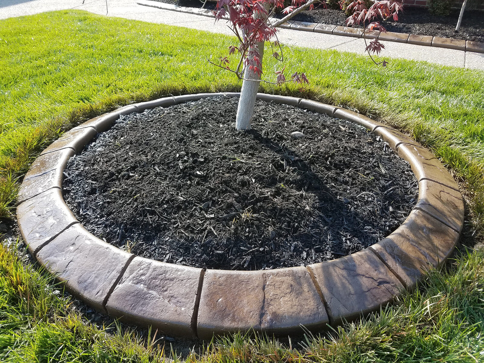 Tree ring, black mulch, Cobblestone pattern